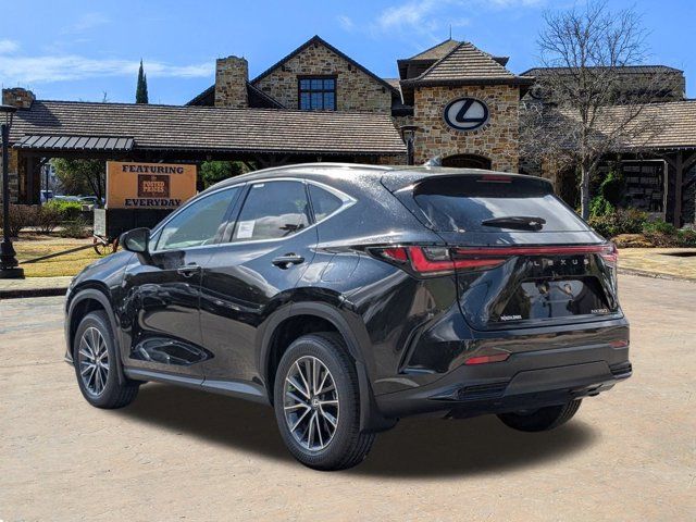 2025 Lexus NX 250