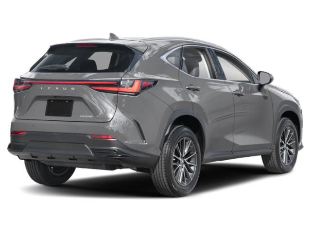 2025 Lexus NX 250