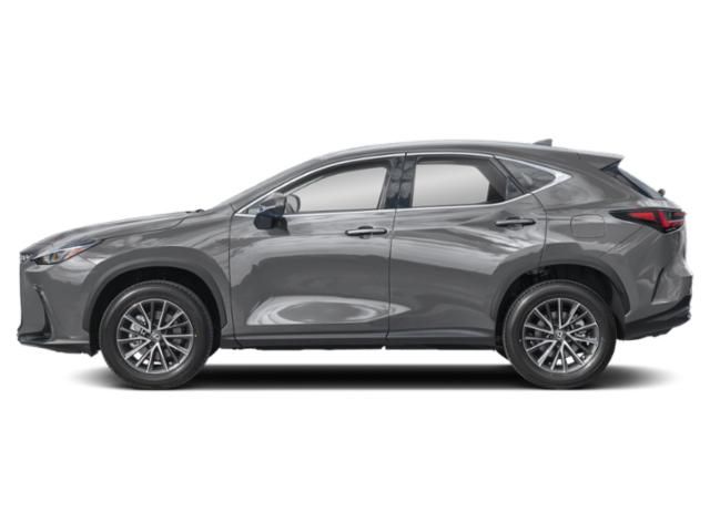 2025 Lexus NX 250