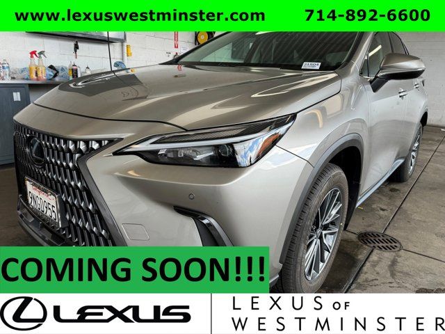 2025 Lexus NX 250