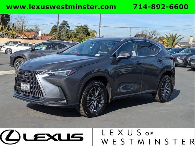 2025 Lexus NX 250