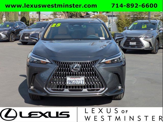 2025 Lexus NX 250