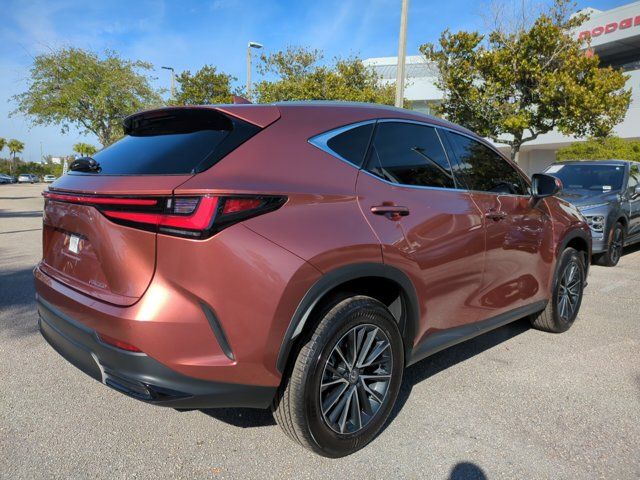 2025 Lexus NX 250