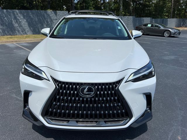 2025 Lexus NX 250