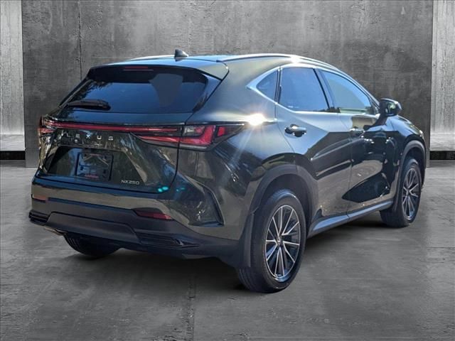 2025 Lexus NX 250