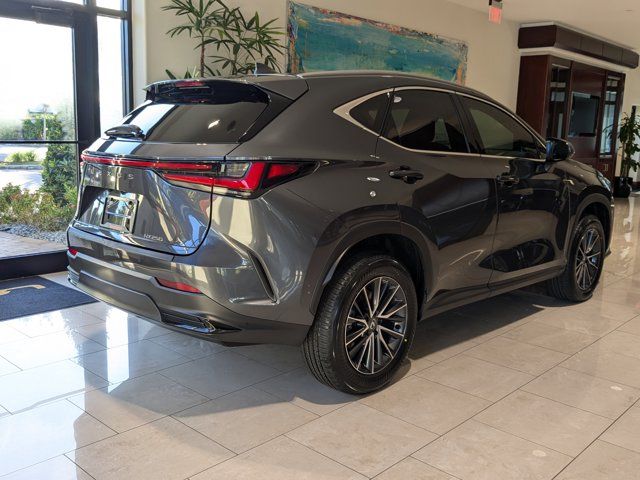 2025 Lexus NX 250