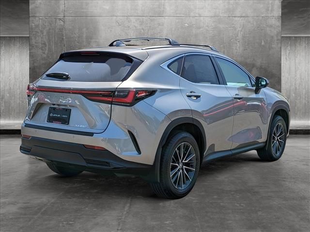 2025 Lexus NX 250