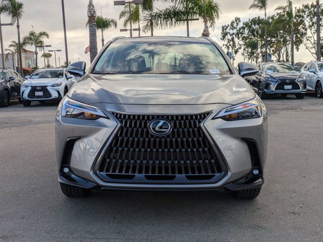 2025 Lexus NX 250