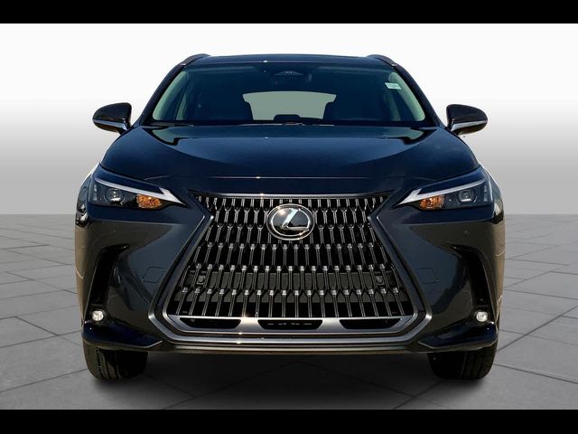 2025 Lexus NX 250