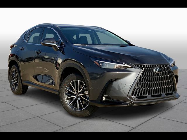 2025 Lexus NX 250