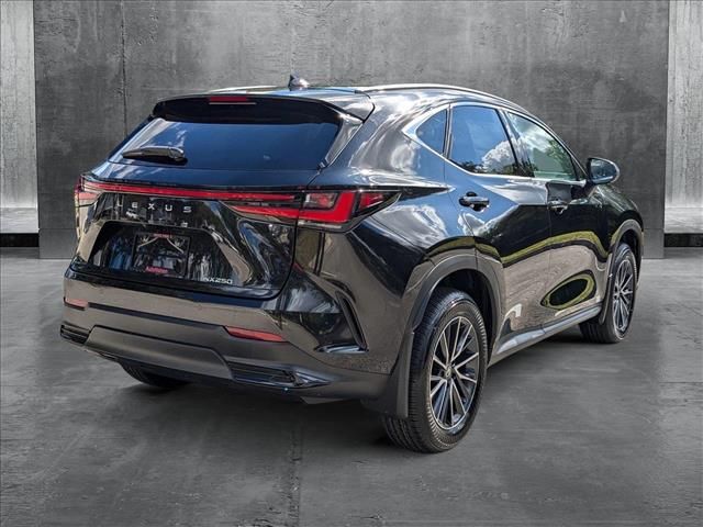 2025 Lexus NX 250