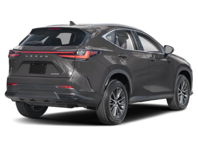 2025 Lexus NX 250