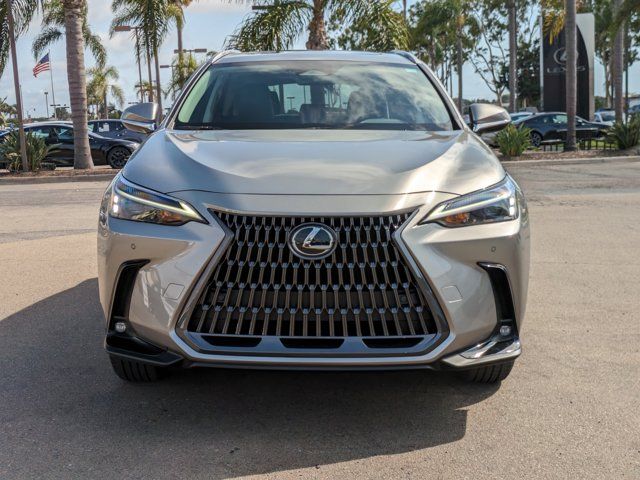 2025 Lexus NX 250