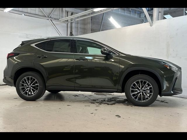 2025 Lexus NX 250