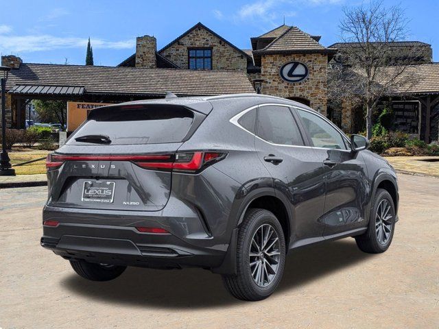 2025 Lexus NX 250