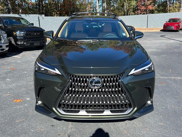 2025 Lexus NX 250