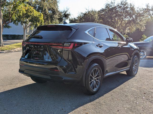 2025 Lexus NX 250