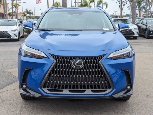 2025 Lexus NX 250