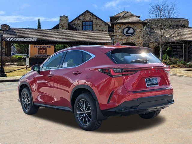 2025 Lexus NX 250