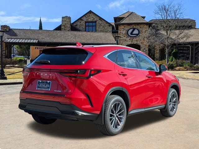 2025 Lexus NX 250