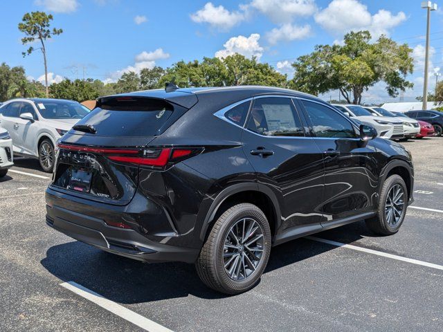 2025 Lexus NX 250