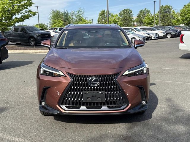 2025 Lexus NX 250