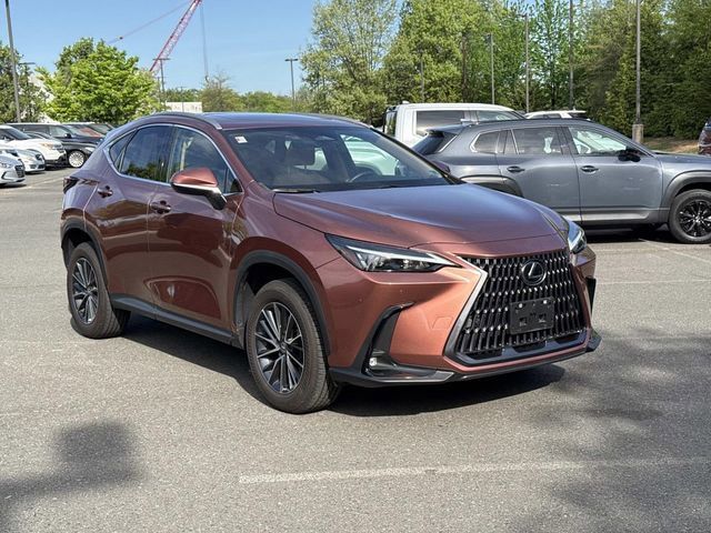 2025 Lexus NX 250