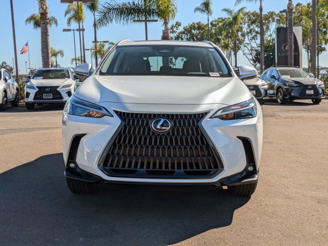 2025 Lexus NX 250