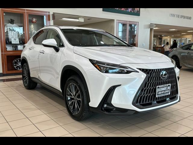 2025 Lexus NX 250