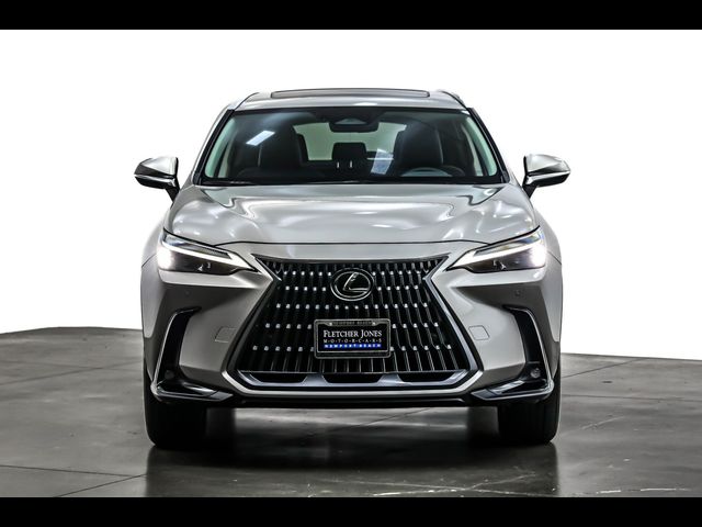 2025 Lexus NX 250