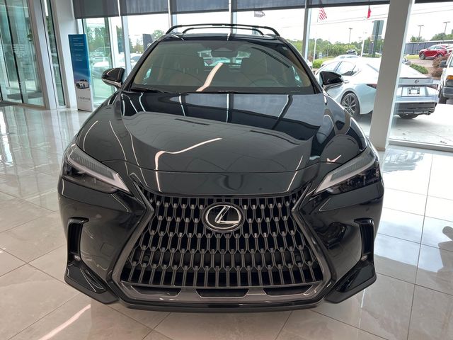 2025 Lexus NX 250 Premium