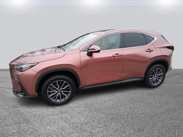 2025 Lexus NX 250 Premium