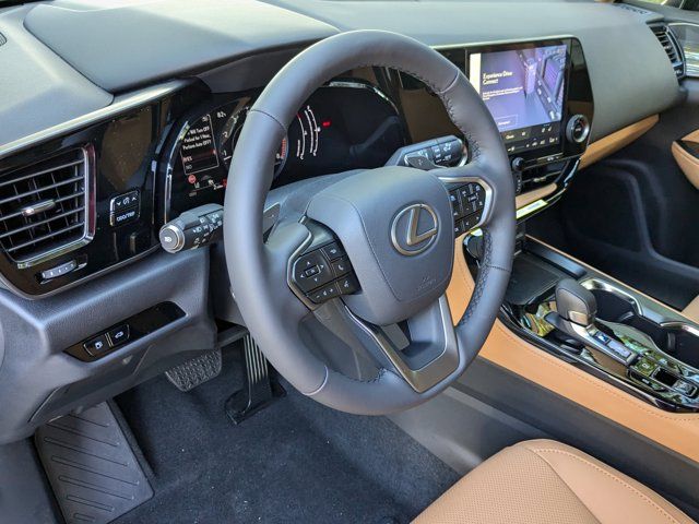 2025 Lexus NX 250 Premium