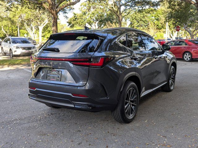 2025 Lexus NX 250 Premium