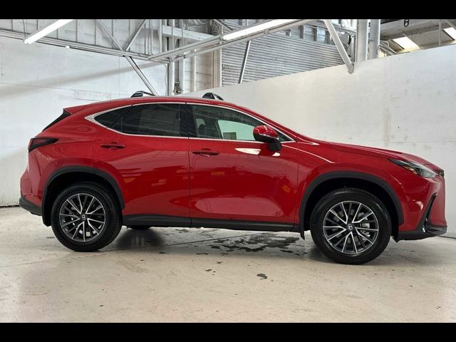 2025 Lexus NX 250 Premium