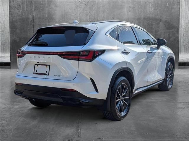 2025 Lexus NX 250 Premium