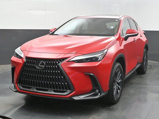 2025 Lexus NX 250 Premium
