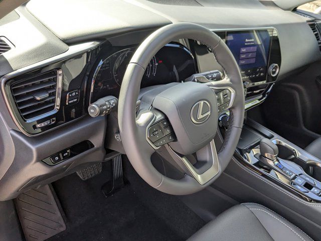 2025 Lexus NX 250 Premium