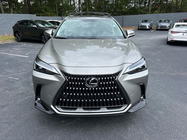 2025 Lexus NX 250 Premium