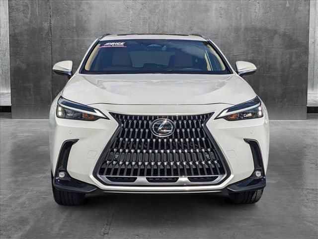 2025 Lexus NX 250 Premium