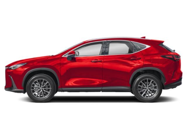 2025 Lexus NX 250 Premium