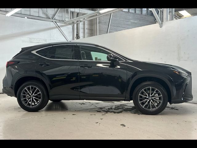 2025 Lexus NX 250 Premium