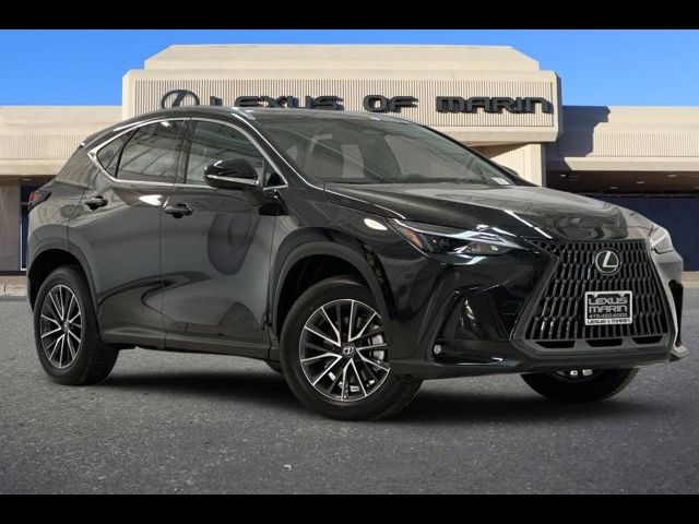 2025 Lexus NX 250 Premium