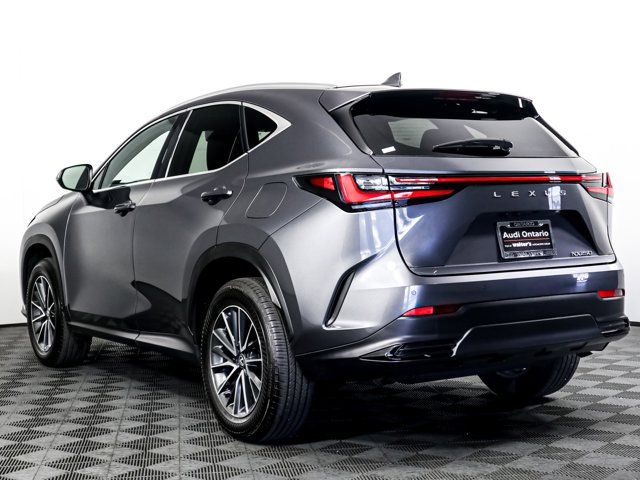 2025 Lexus NX 250 Premium