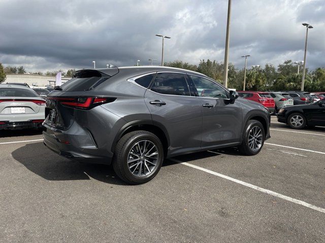 2025 Lexus NX 250 Premium