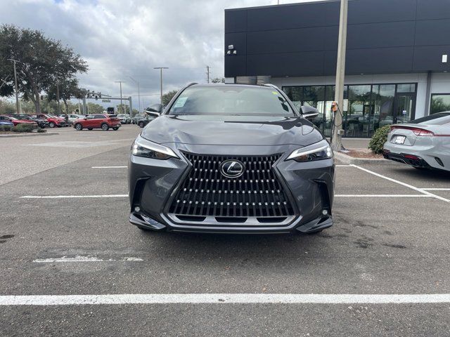 2025 Lexus NX 250 Premium