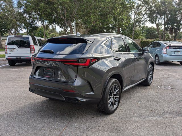 2025 Lexus NX 250 Premium