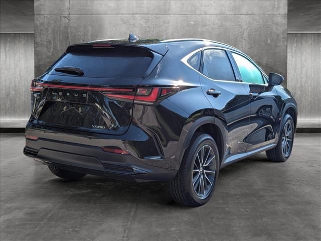 2025 Lexus NX 250 Premium