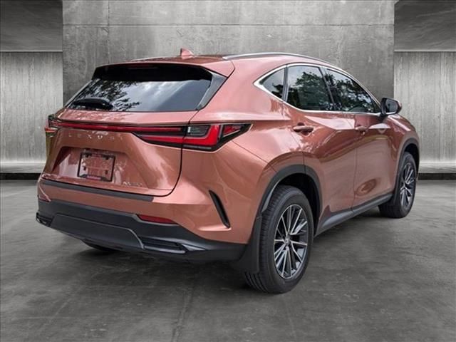 2025 Lexus NX 250 Premium