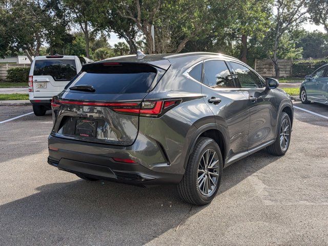 2025 Lexus NX 250 Premium